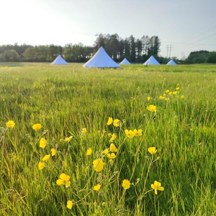 Hotel Dorset Glamping Fields Corfe Mullen Exterior foto